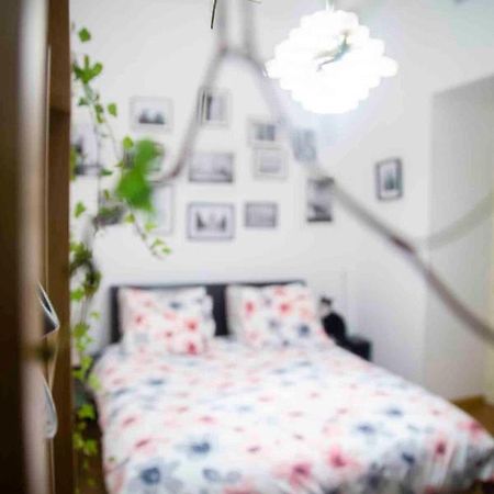 Fred'S Home Guest Room, Vieuxport, Climatise, Friendly Μασσαλία Εξωτερικό φωτογραφία