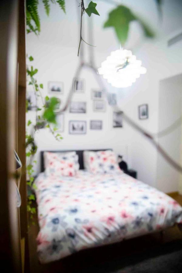 Fred'S Home Guest Room, Vieuxport, Climatise, Friendly Μασσαλία Εξωτερικό φωτογραφία